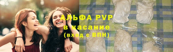 Альфа ПВП Горняк