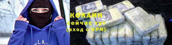 Альфа ПВП Горняк