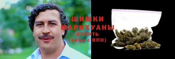 Альфа ПВП Горняк