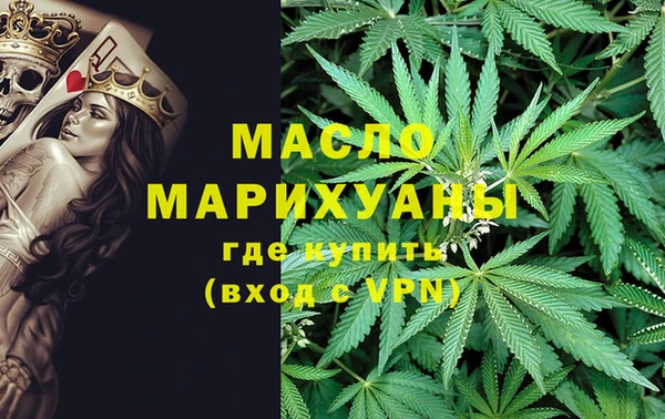 Альфа ПВП Горняк