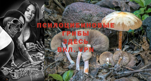 Альфа ПВП Горняк