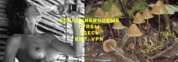 Альфа ПВП Горняк