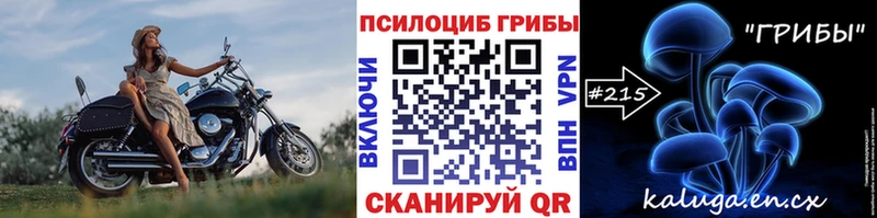 Купить  Керчь  Галлюциногенные грибы Psilocybine cubensis 