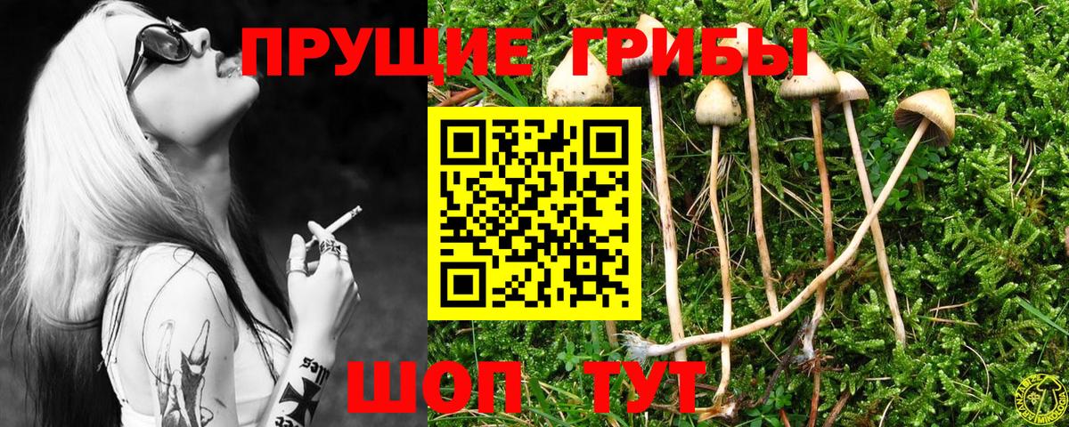 Псилоцибиновые грибы Cubensis Керчь
