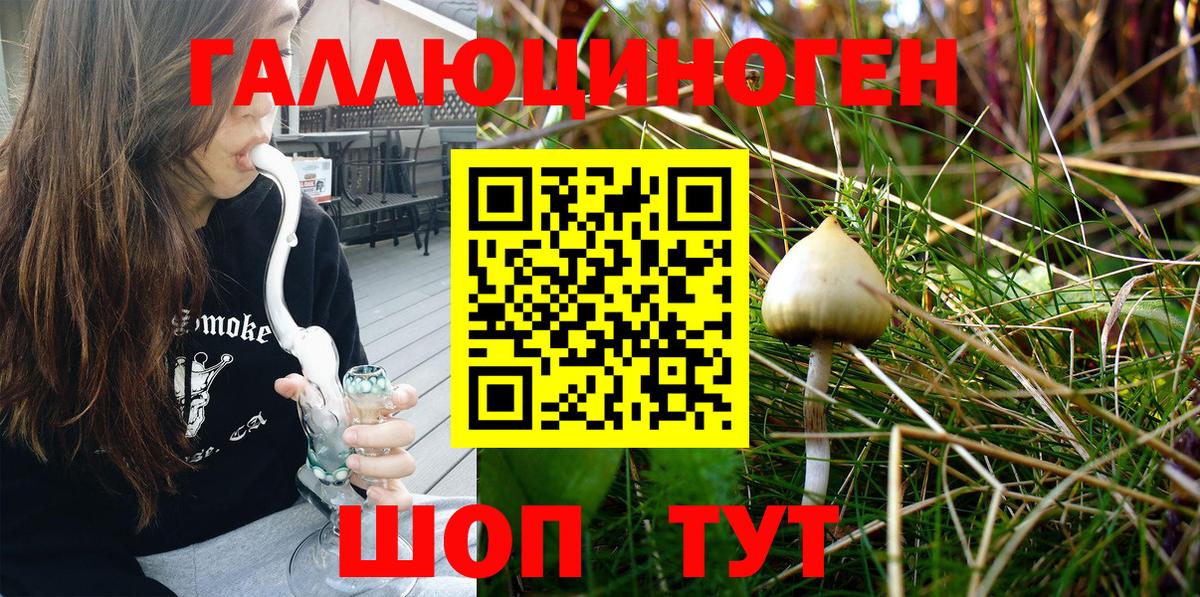 Керчь  Галлюциногенные грибы MAGIC MUSHROOMS  Вход с VPN 